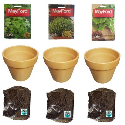 Photo of Easy Grow Herb Kit - Parsley Thyme & Coriander Seeds With Organic Soil