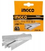 Ingco - Staples - 8mm -1000 Pieces Photo