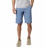 Columbia Men's Silver Ridge Cargo Short in Bluestone Photo