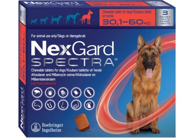Photo of NexGard Spectra chewable tablets for dogs 30 1-60 0kg - 3 Tablets