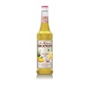 Monin Pina Colada Mix Syrup 1ltr Photo