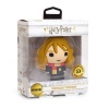 Powersquad : Powerbank - Hermoine Granger Photo