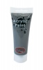 Crazy Crafts Acrylic Paint - Grey Photo