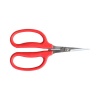 Carpa Garden Scissors Photo