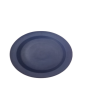 Re-usable Plastic Plates - Pack of 20 Photo