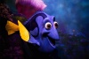 Graffiti Laptop Skin Dory Photo