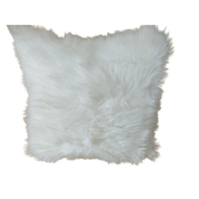 Elegant Fluffy Canvas Scatter Cushions 45x45cm By Ithemba