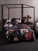 Linen House Mia Duvet Cover Set Photo