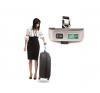 Lemonade Portable Electronic Luggage Scale Photo