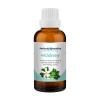 Kidney - Kidney Disease & Stone Remedy Photo