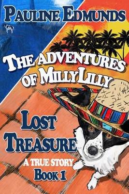 Photo of Lost Treasure The Aventures of MillyLilly Book 1