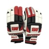 MB Malik Sher Amin Batting Gloves - Boys RH Photo