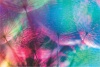 Graffiti Laptop Skin Colourful Dandelion Photo