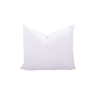 Feather Cushion Inner Square Various Sizes