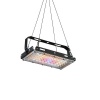 LED Grow Light Full Spectrum 50W Ultrathin Hanging Growing Lamp Photo