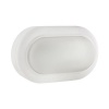 Eurolux Bulkhead LED Oval White 8W Photo