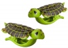 O2Cool Sea Turtle Boca Clips Photo