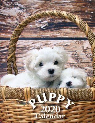 Photo of Puppy 2020 Calendar