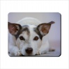 Mouse Pad - Lazy Jack Russel Photo