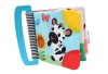 Baby Einstein Curious Explorers Teether Book Photo