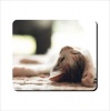Mouse Pad - Lazy Cat On Carpet Photo