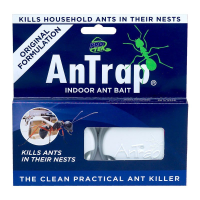 Protek Box AnTrap Indoor Ant Bait 10g x 12