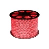 Red Color Strip LED Light 5050 -100M Photo