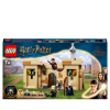 LEGO Harry Potter Hogwarts First Flying Lesson 76395 Photo