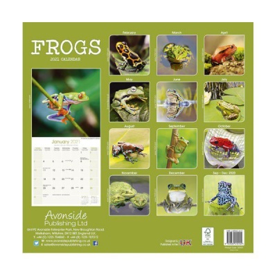 Photo of CHEF HOME Frogs2021 Wall Calendar - Amphibians