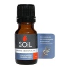Soil Organic Eucalyptus Oil 10ml Photo