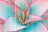 MDF 3 Piece Collage Tinted Succulent Photo