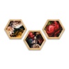Pine Boxed Canvas Hexagonal 3 piecese collage Red Floral Peonies Photo