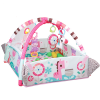 Totland 5" 1 Activity Gym Pink Photo
