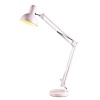 Dr Light Drlight Adjustable Metal And PVC Desk Lamp Photo