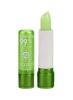 Aloe Vera Moisturizing Lipstick Photo