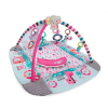 Baby Activity Gym & Ball Pit- Pink Photo