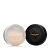 Elizabeth Arden High Performance Blurring Loose Powder - Translucent Photo