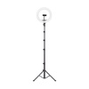 Professional 10" Ring Light With 2M Tripod Stand Photo