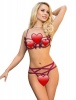 Edendiva's Black Elegant Embroidery Fashion Bra Set - Red Photo