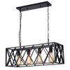 JNC-Black Vintage Industrial Metal Cage Pendant Photo