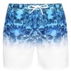 Firetrap Men's Swim Shorts - Multi Clr Wash - Parallel Import Photo