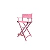 Professional Aluminum Foldable Makeup Director Chair Photo