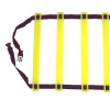 Disa Sport Disa Sports - 4m Speed Ladder in a bag Photo