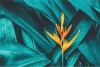 Graffiti Laptop Skin Yellow Flower Photo