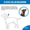 Rogz Dog Collar Classic Utility Extra Extra Large 40mm Turquoise Photo