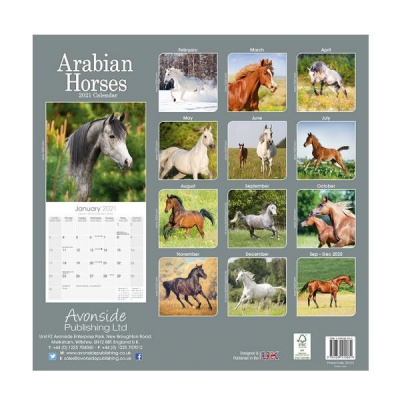 Photo of CHEF HOME Arabian Horses 2021 Wall Calendar - Animals
