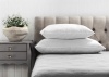 Lifson Products Royal Comfort Goose Feather Pillow Photo