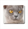 Mouse Pad - Yellow Eyed Cat Grey Photo
