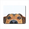 Mouse Pad - Dog Sneeking Photo