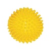 Textured Tactile PVC Massage Ball - EACH Photo